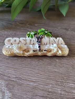 Colorful Palm Tree Seashell Beach Costa Maya Mexico Magnet Souvenir Refrigerator